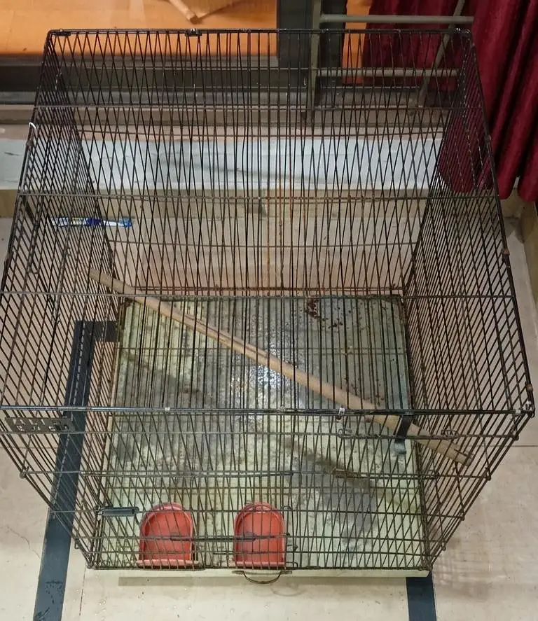 Medium sized Bird Cage — photo 3