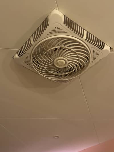 Ceiling Fan