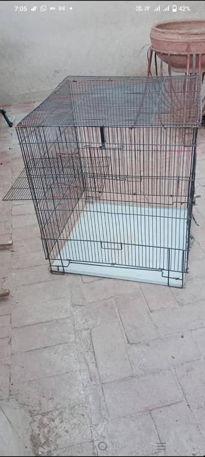 folding cage