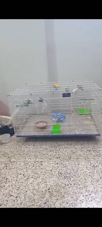 cage folding