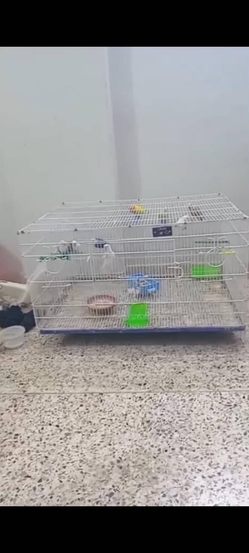 cage folding 0