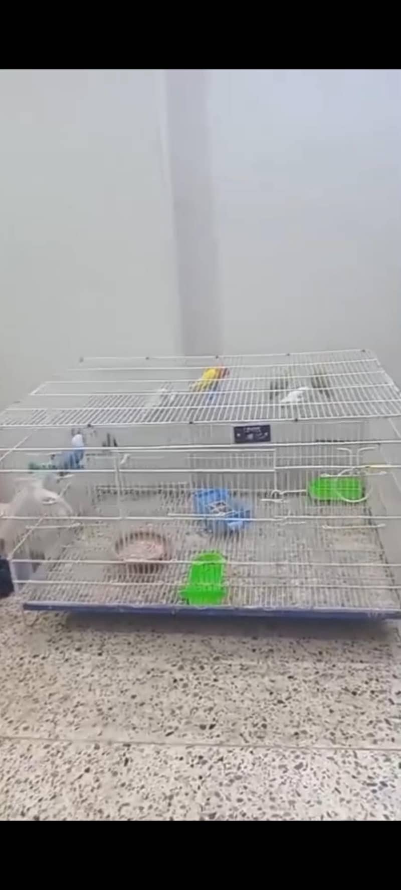 cage folding 1