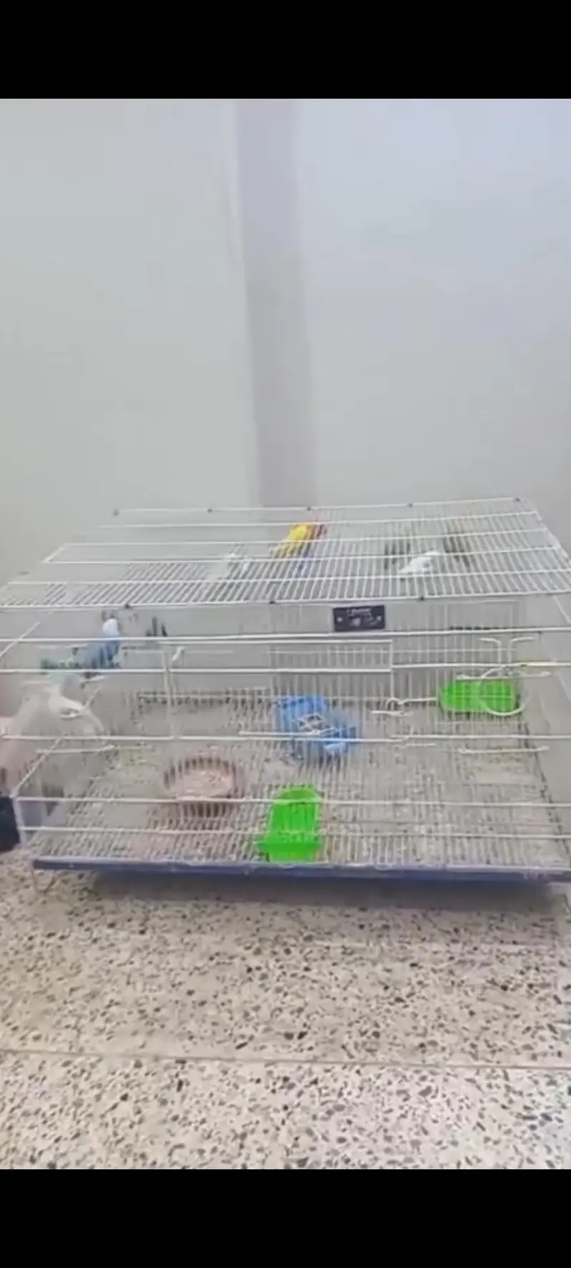 cage folding — photo 2