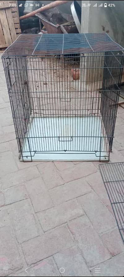 folding Cage