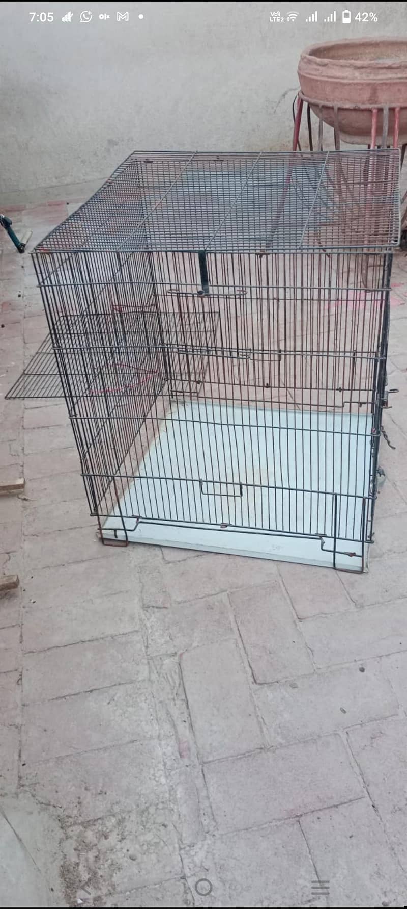 folding Cage 1