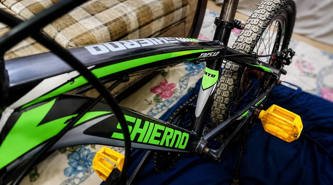 SHIERNO 1
