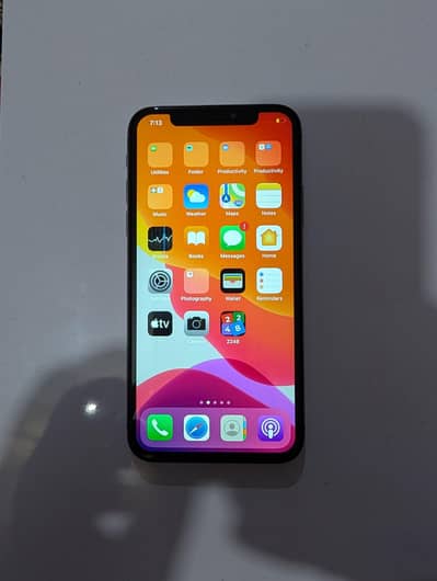 Apple iPhone X