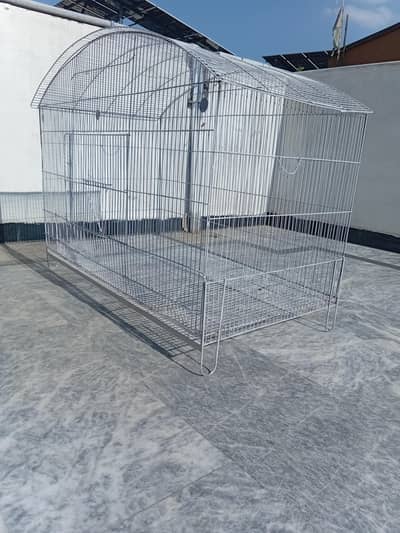 big size cage and Aseel murga for sale