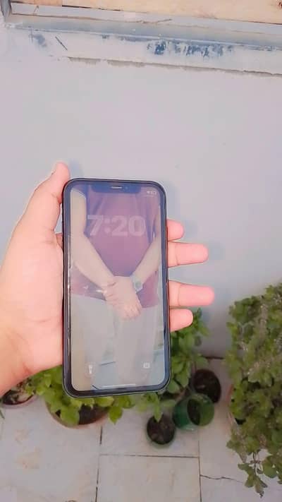Apple iPhone 11 Al okay Scratchless Phone