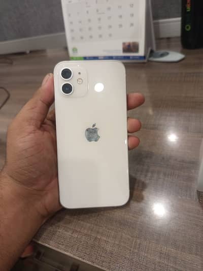 Iphone 12 PTA approved