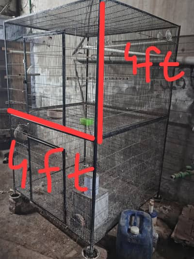love bird cage
