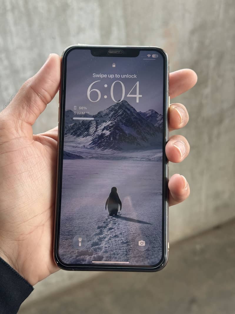Apple iPhone 11 Pro Max 1