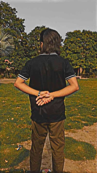 Mr King