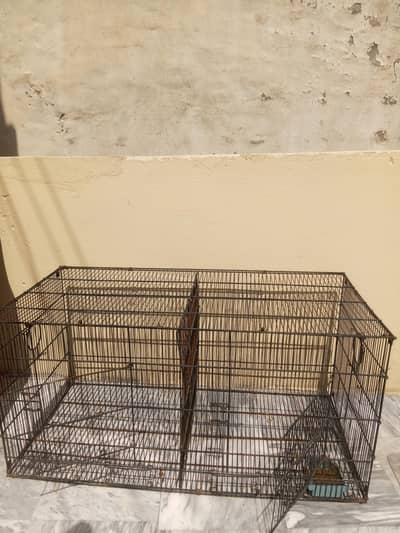 bird's cage