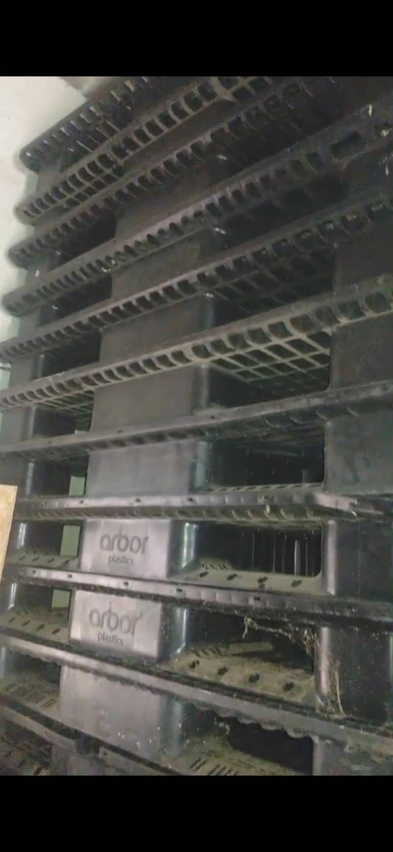 Plastic Pallets Available 1