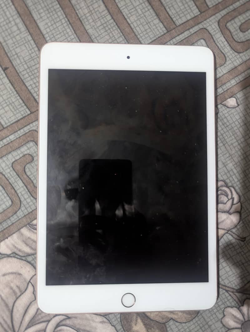 IPad Mini 5 1