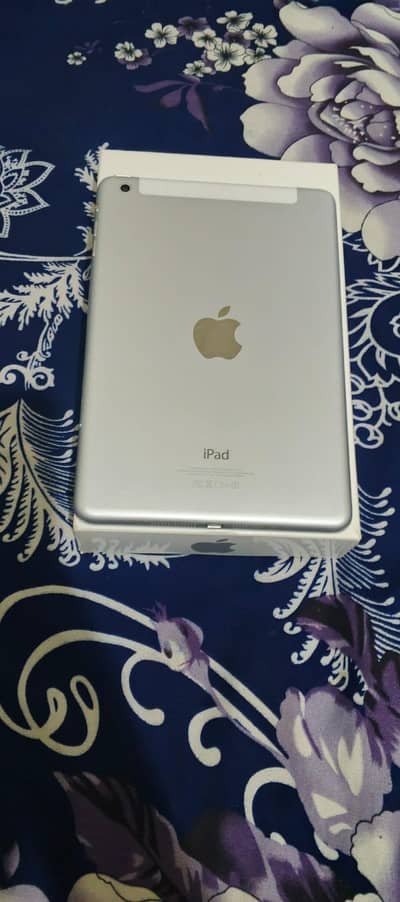 ipad mini 1