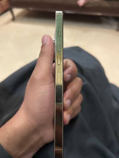 Apple iPhone 13 Pro Max 2