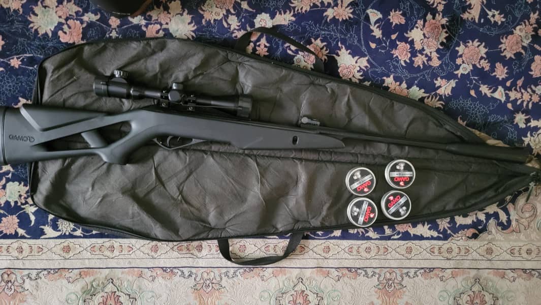gamo target practice 0