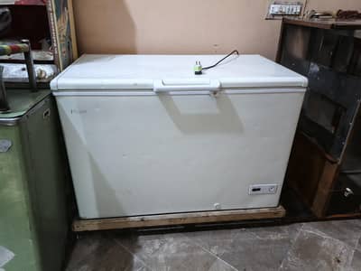 Haier large size Deep Fridge 03136807766
