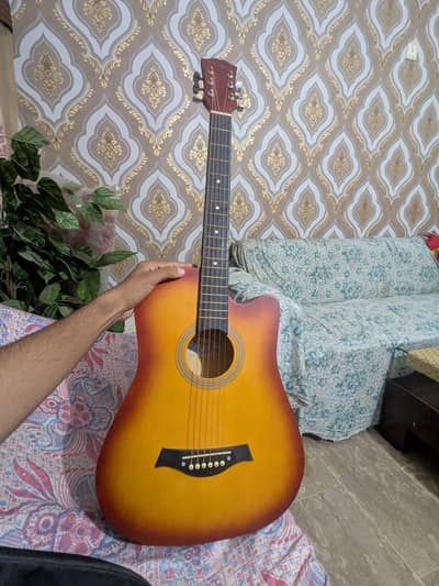 Acoustic guitar