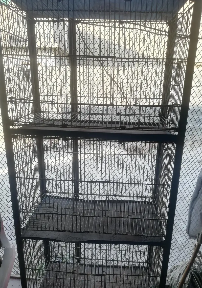 birds cage for sell — photo 2