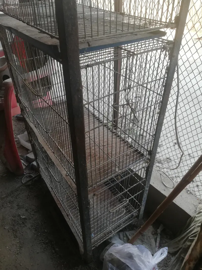 birds cage for sell — photo 3