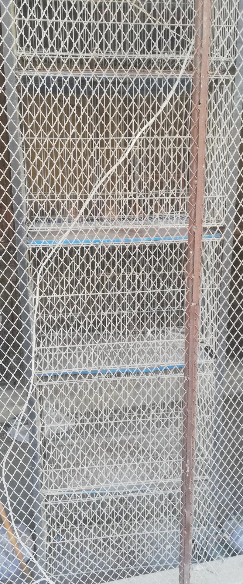 birds cage for sell — photo 5