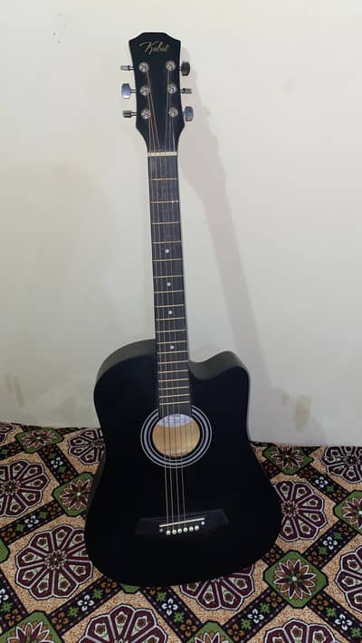 Beginner Acoustic Guitar