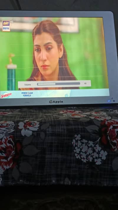 Apple 24 Inch Monitor Good Condition