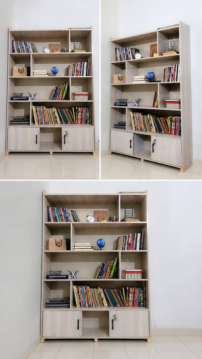 bookcase / decor case