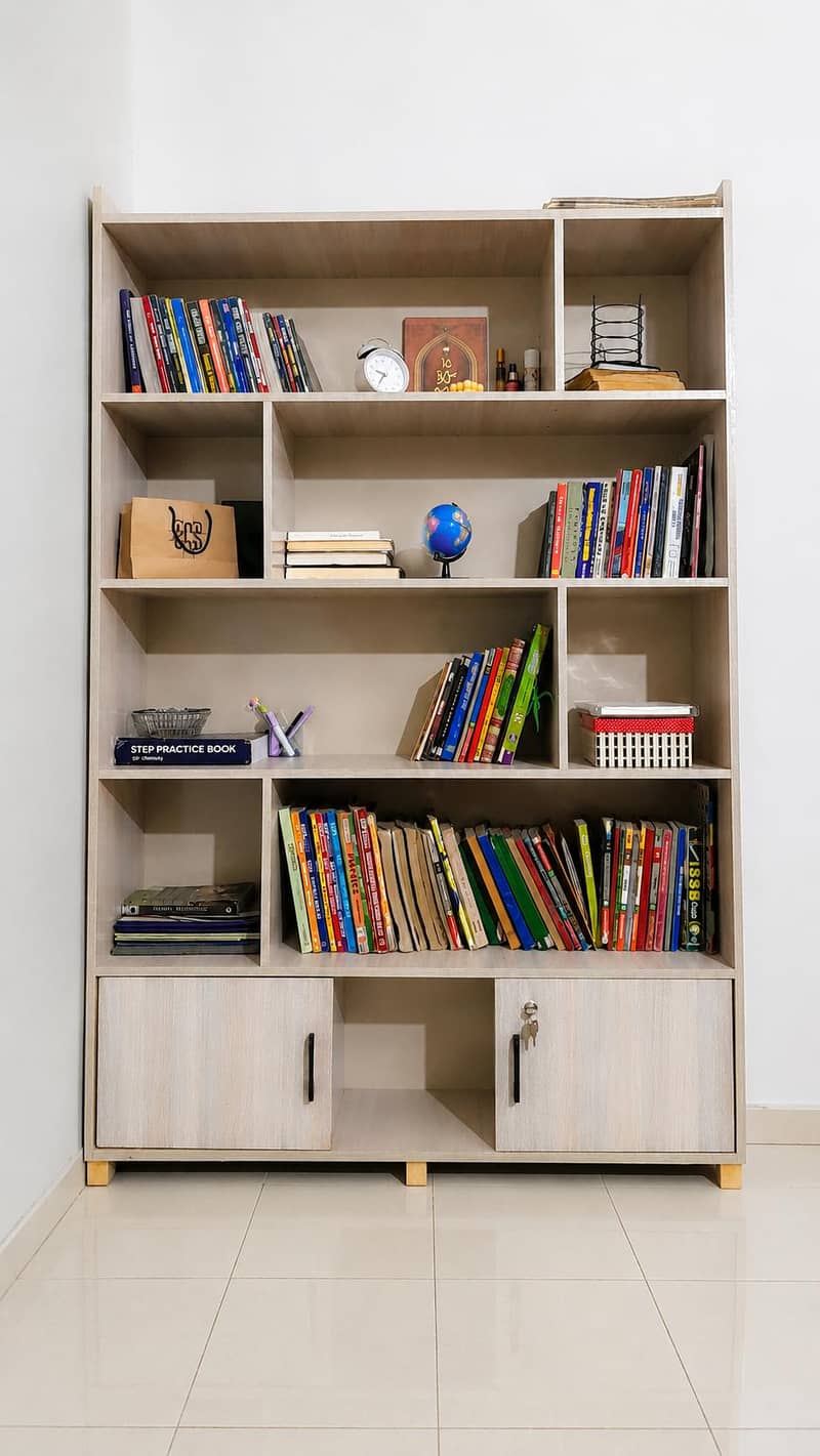 bookcase / decor case 1