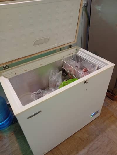 Signature deep freezer