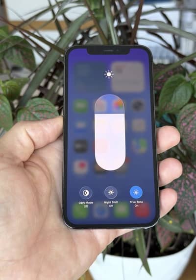 I phone 12 pro pta approved 256gb