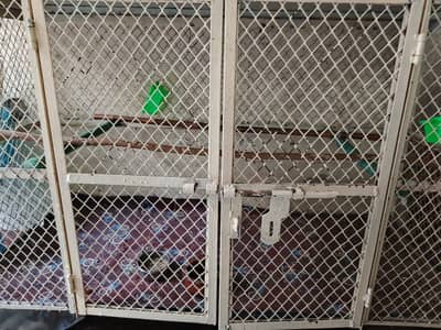 Big cage