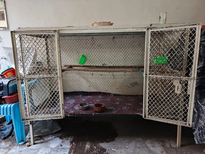 Big cage — photo 2