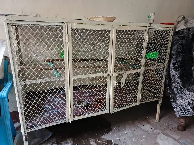 Big cage — photo 3