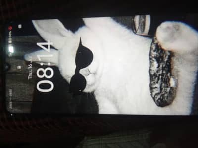 Vivo Y04