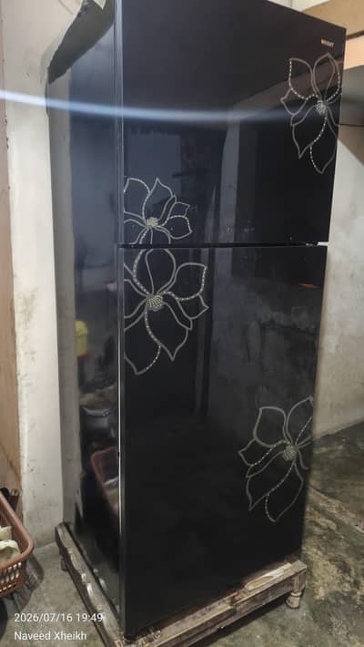 orient full size Refrigerators
