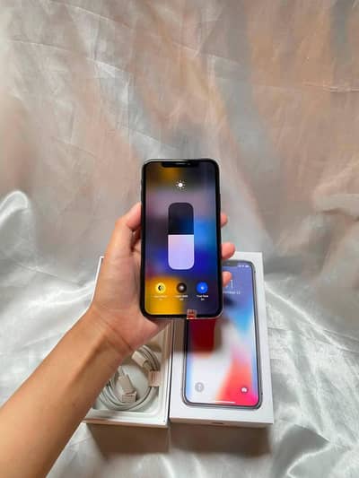 Apple iPhone X