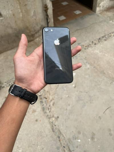 iphone 8 pta approved