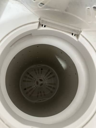 Haier Twin Tub Washing Machine (10 kg)