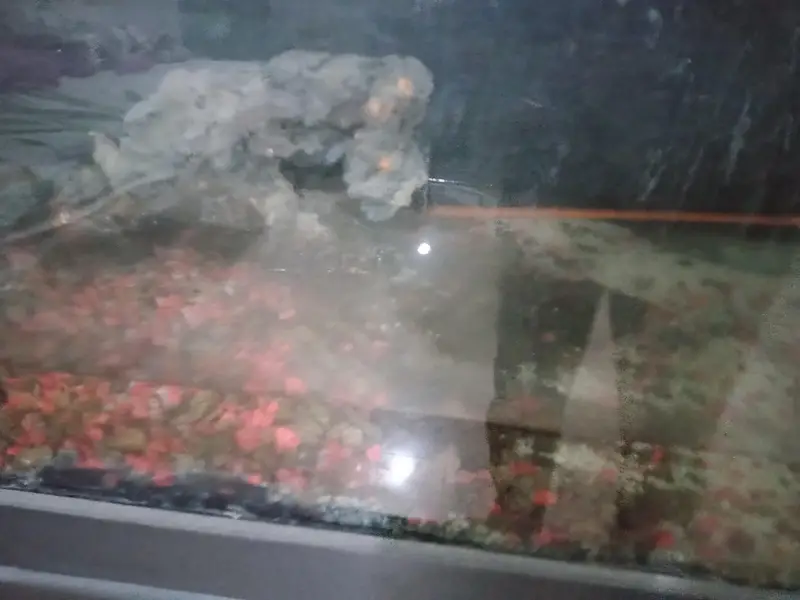 3 feet aquarium — photo 2