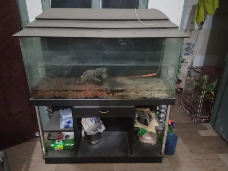 3 feet aquarium — photo 3