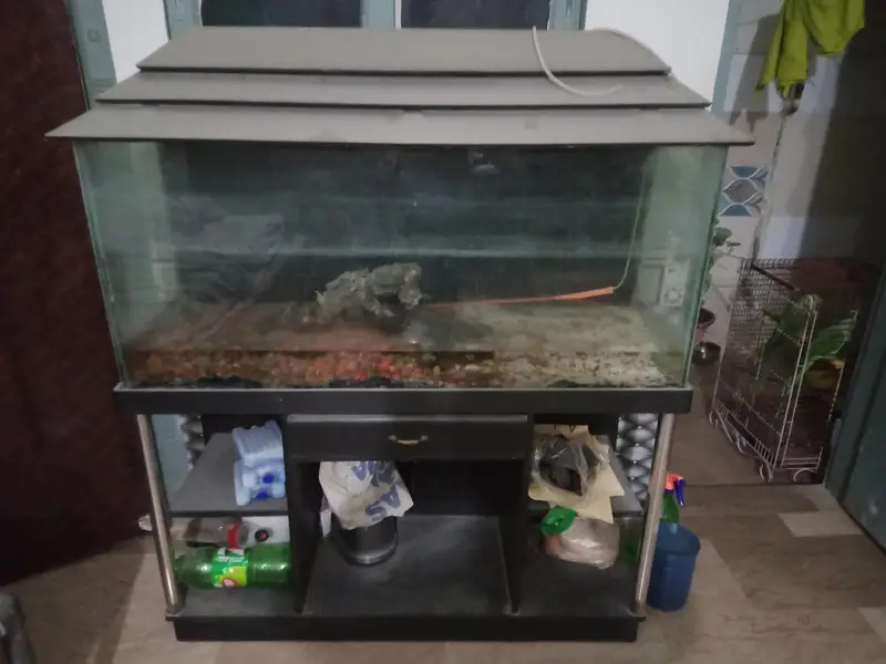 3 feet aquarium — photo 4