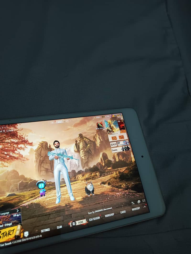 Ipad mini 5 3