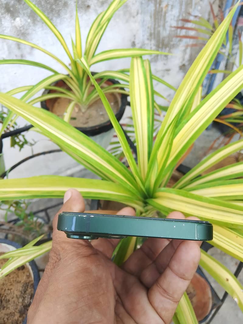 Apple iPhone 13 3
