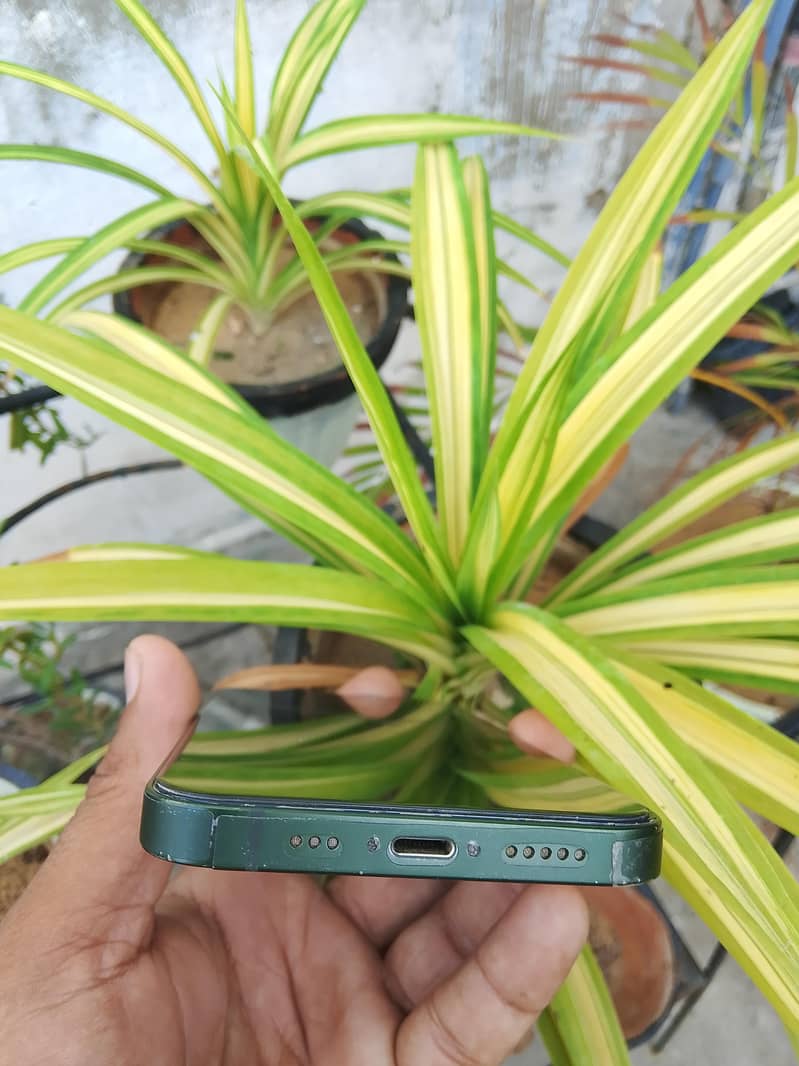 Apple iPhone 13 4