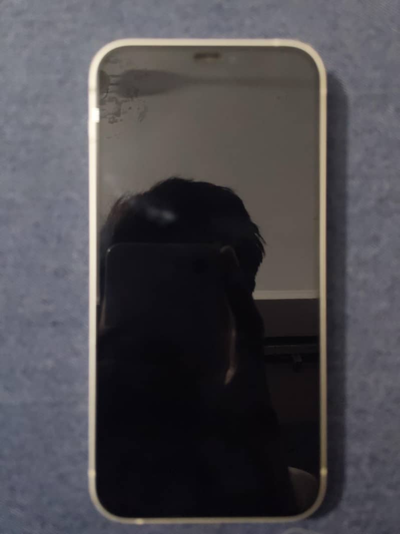 Apple iPhone 12 0