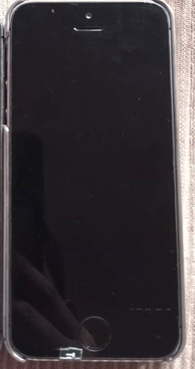 Apple iPhone 5s